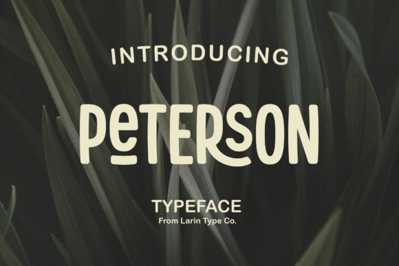 Peterson: A Stunning Display Sans Serif Font for Modern Design