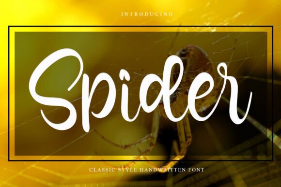 Spider Font: Elegant Typography for Creative Projects